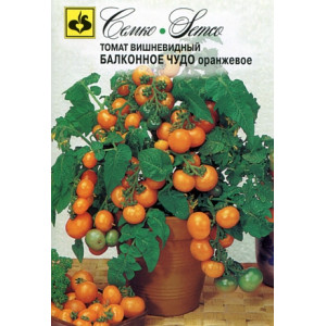 Томат Балконное чудо оранжевое
